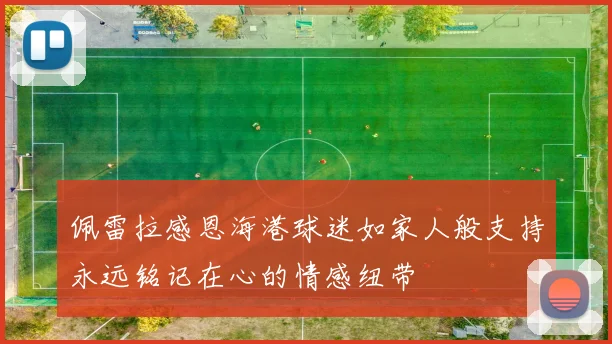 佩雷拉感恩海港球迷如家人般支持永远铭记在心的情感纽带