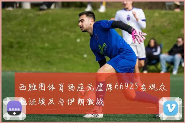 西雅图体育场座无虚席66925名观众见证埃及与伊朗激战